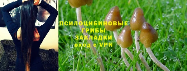 прущие крисы Туринск